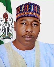 Professor Babagana Zulum, Executive Governor of Borno State